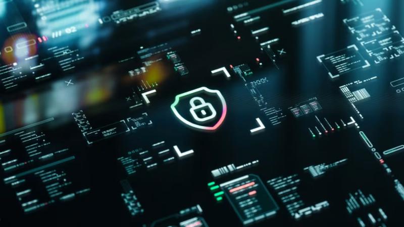托克托县软件开发公司